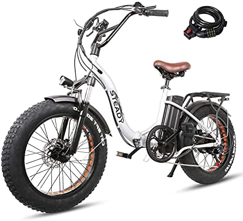Trekpower 20” Electric Bikes for Adults, Folding Dual Disc Brake Electric Bike, 500W Motor Electric Bicycle&48V Removable Lithium Battery, (Silver/Black)