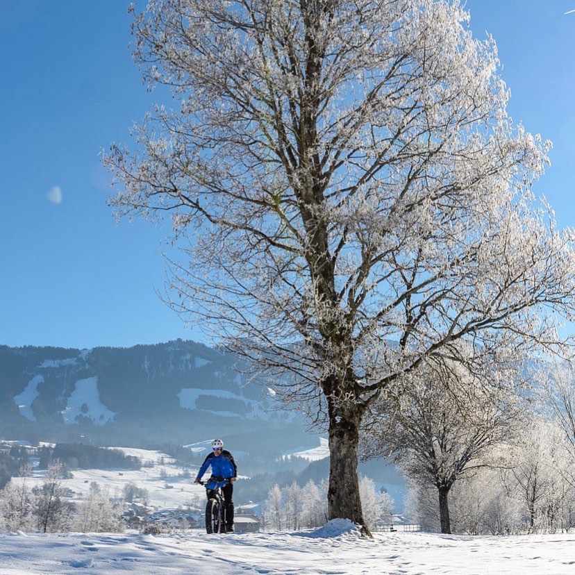 BluebirdJanuary Skies Repost from @hawg_oa 
#wiesnernews #bayern #oberallgäu 
#a…