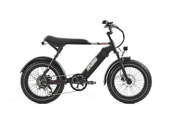 Help choosing an ebike for food delivery