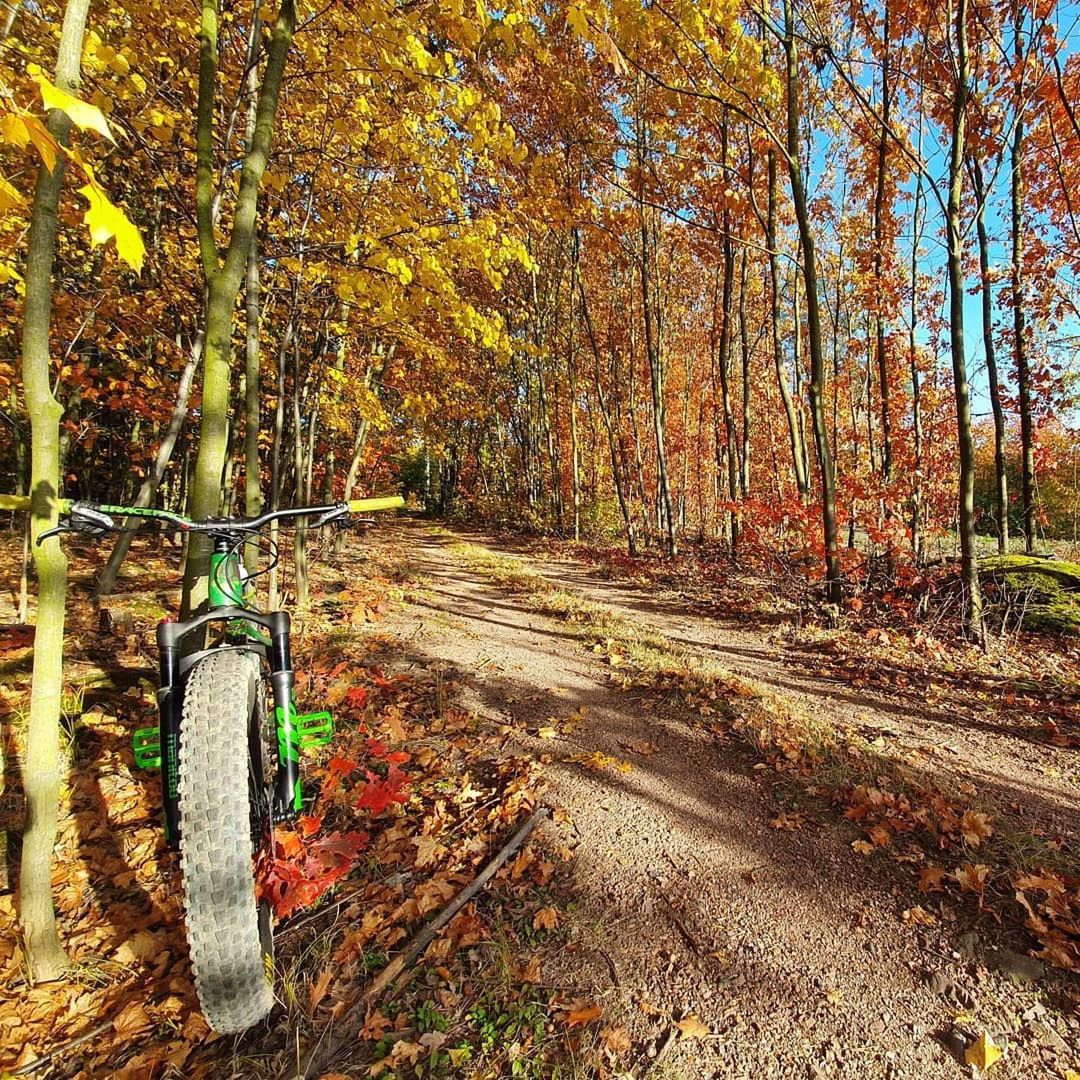 The green and #Repost @bwb_custom_bikes
・・・
Autumn in Poland  #beliketoudi #fatb…