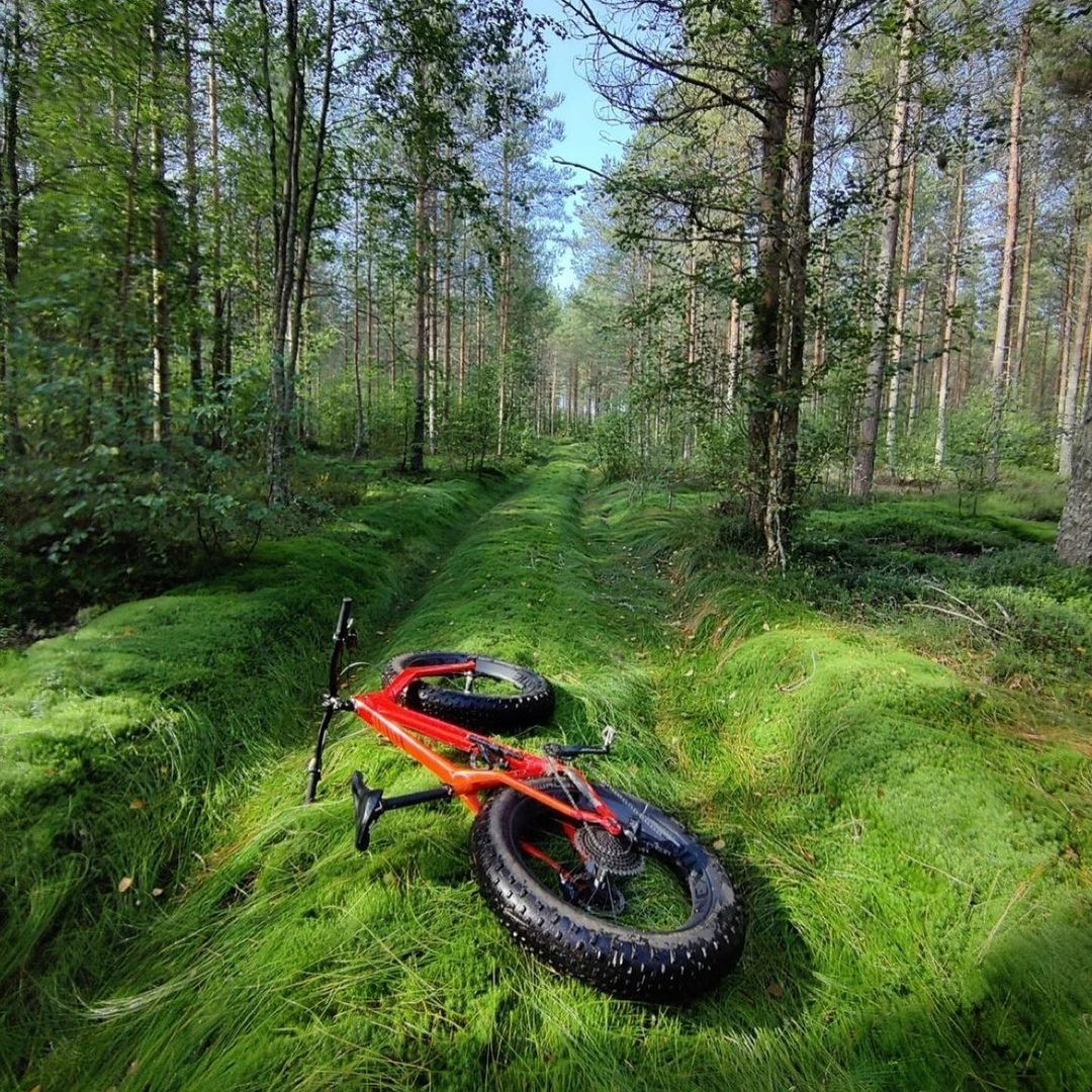 Vihreä Repost from @japeltok
•
Silky green trail 

#lekatienlenkki #pyöräsuvala …