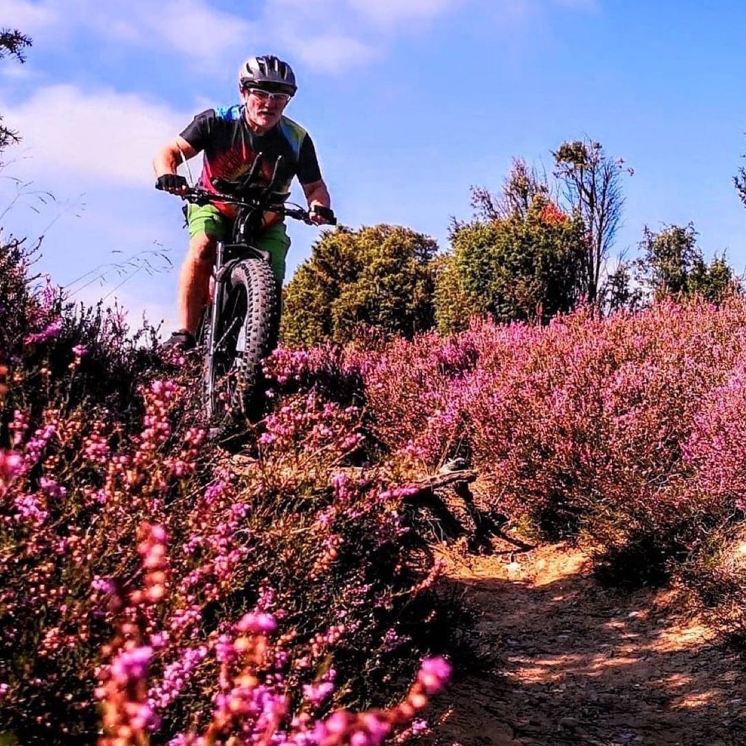 Flower Power Repost from @trailrider666
•
Riding through the heath

#fatbikeride…