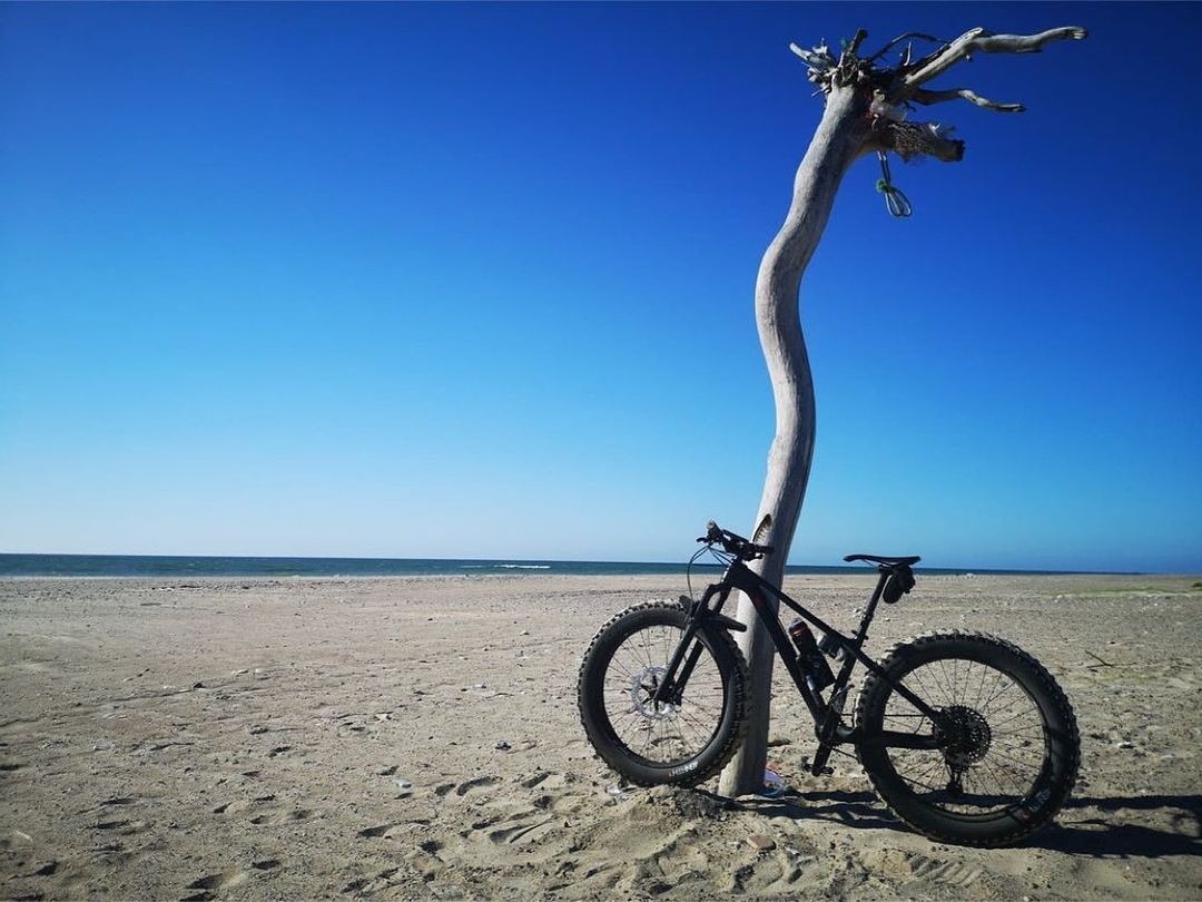 Roots Up #uprooted Repost from @trailrider666
•
An upside down tree on a beach w…