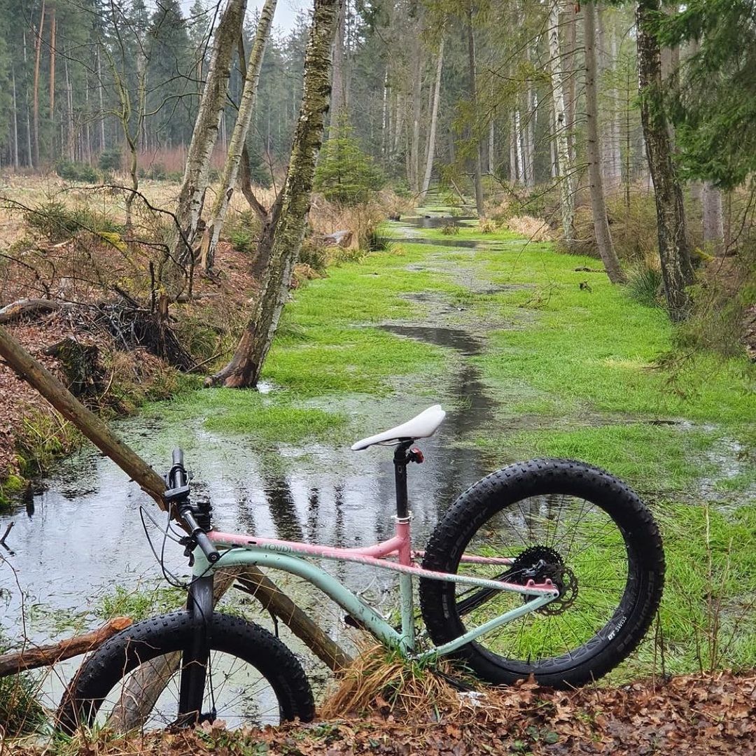 Swamp-Thang Repost from @bwb_custom_bikes
•
TOUDI in action  

#fatbike #fatbike…