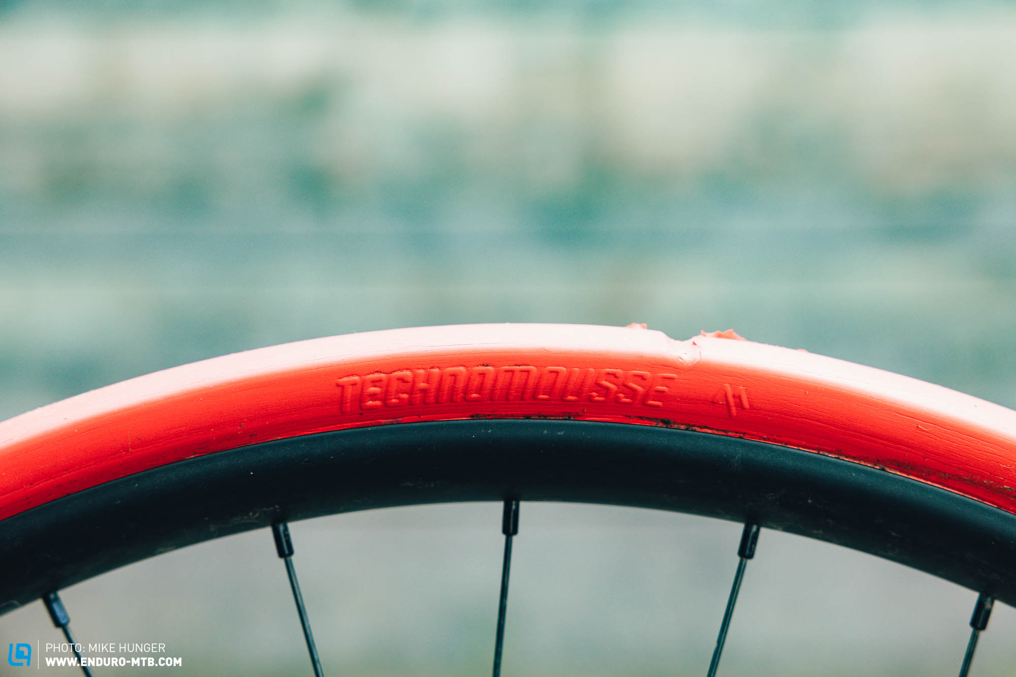 Technomousse Red Poison Evo – In our big 2023 tire insert comparison test