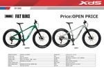 What do you think about this Budget Fatbike