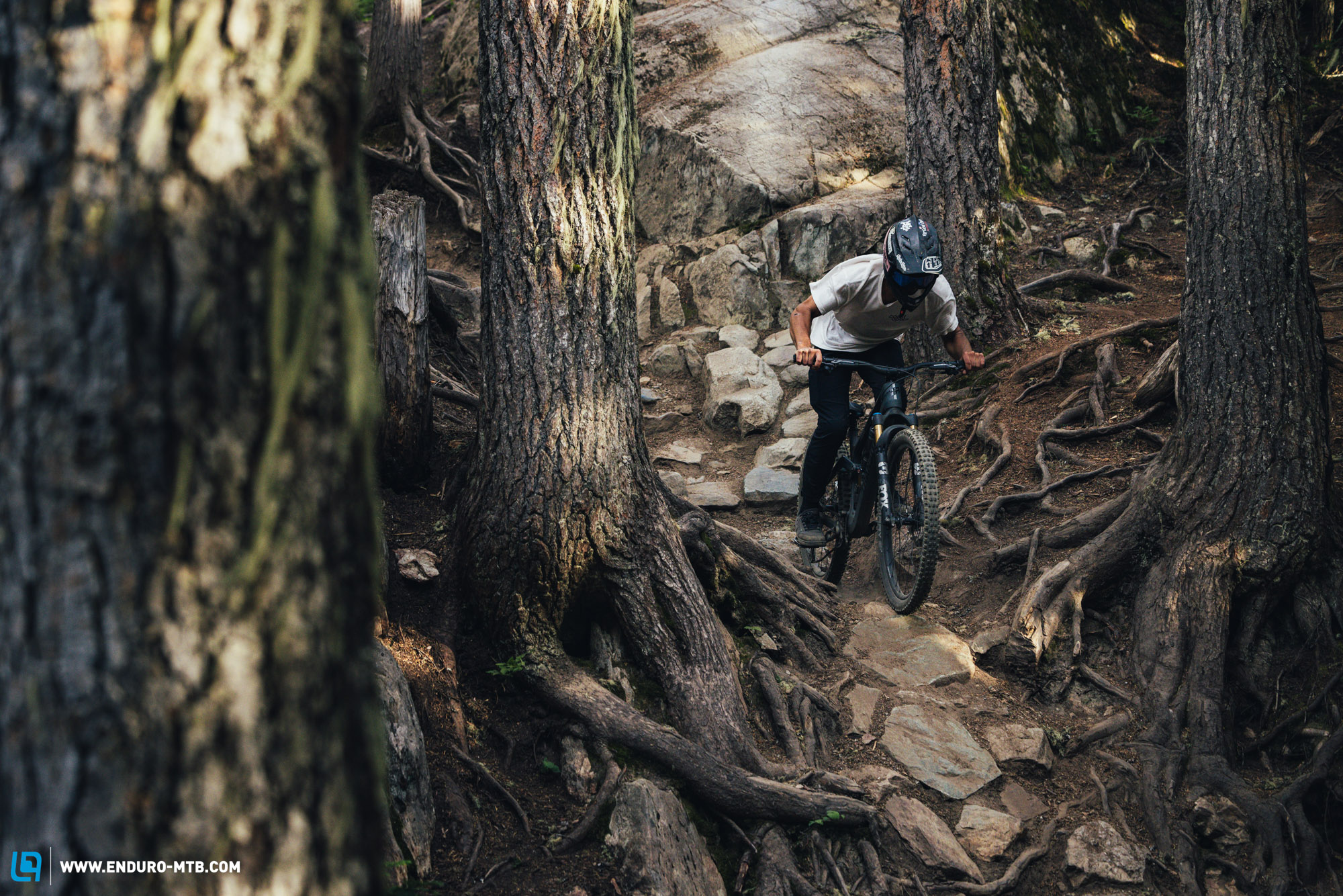Whistler MTB Guide – Everything you need to know for a perfect trip to MTB mecca